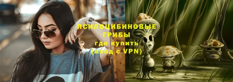 Псилоцибиновые грибы Magic Shrooms  Иркутск 